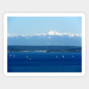 Puget Sound Study 5 Sticker